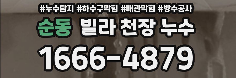 순동 빌라 천장 누수