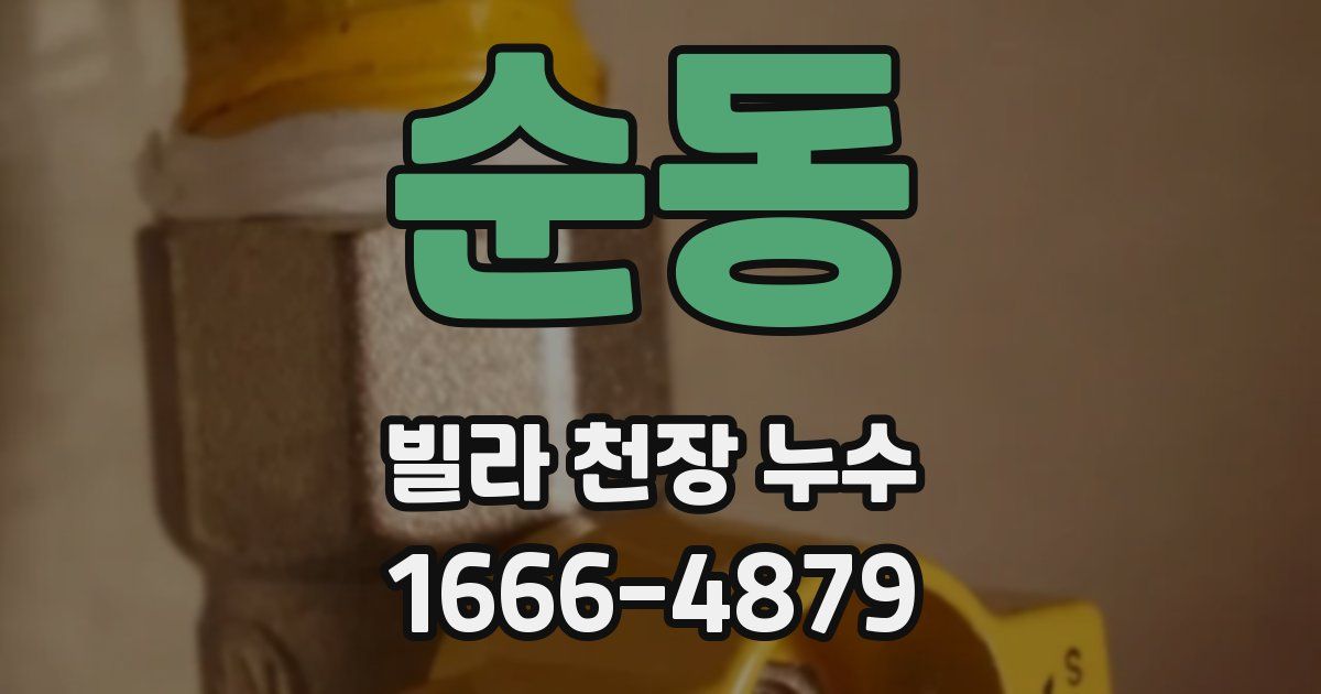 순동 빌라 천장 누수