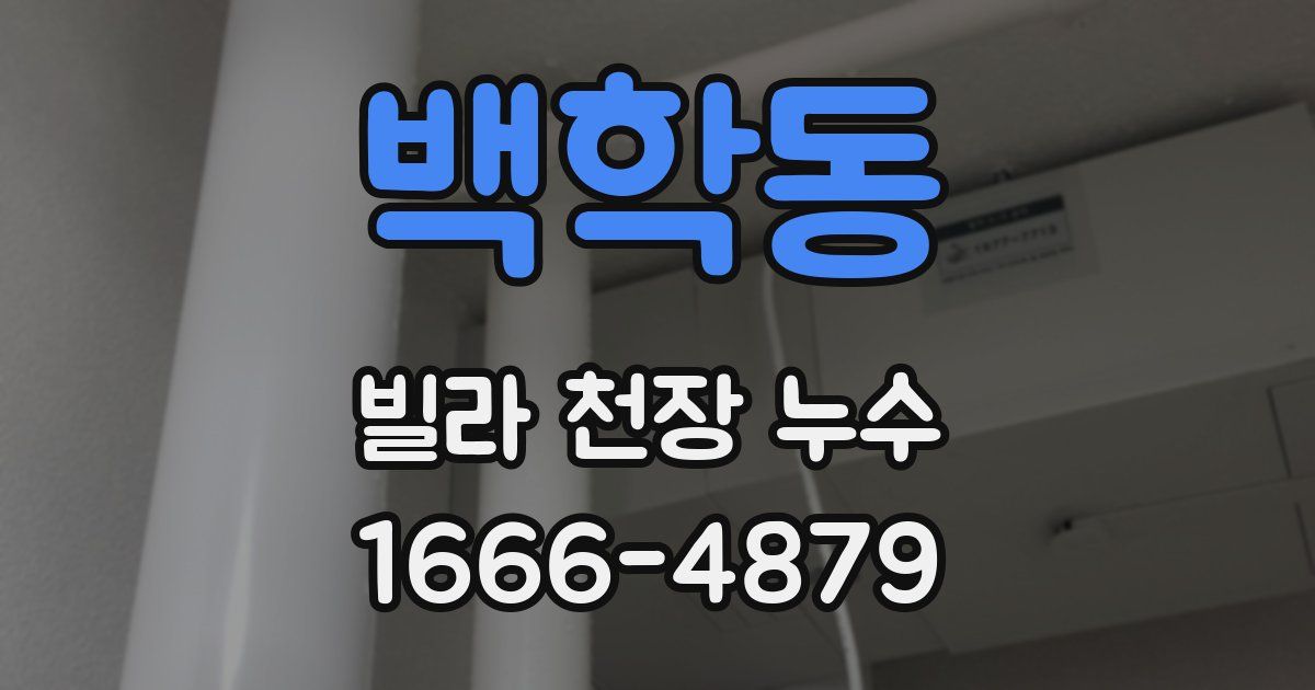 백학동 빌라 천장 누수