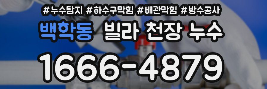 백학동 빌라 천장 누수