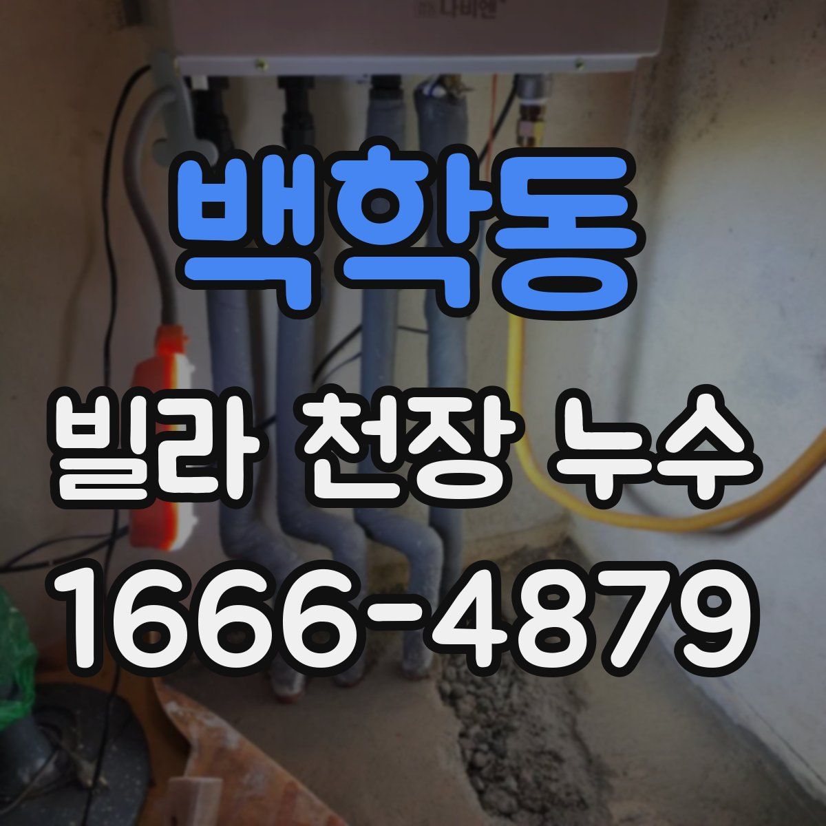 백학동 빌라 천장 누수