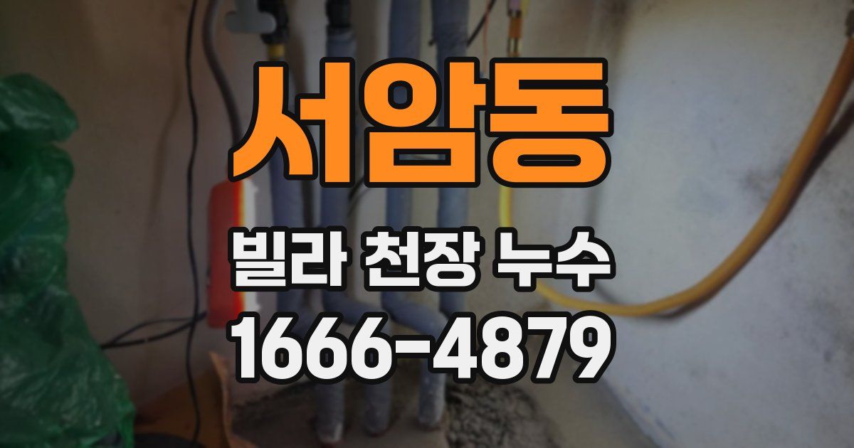 서암동 빌라 천장 누수