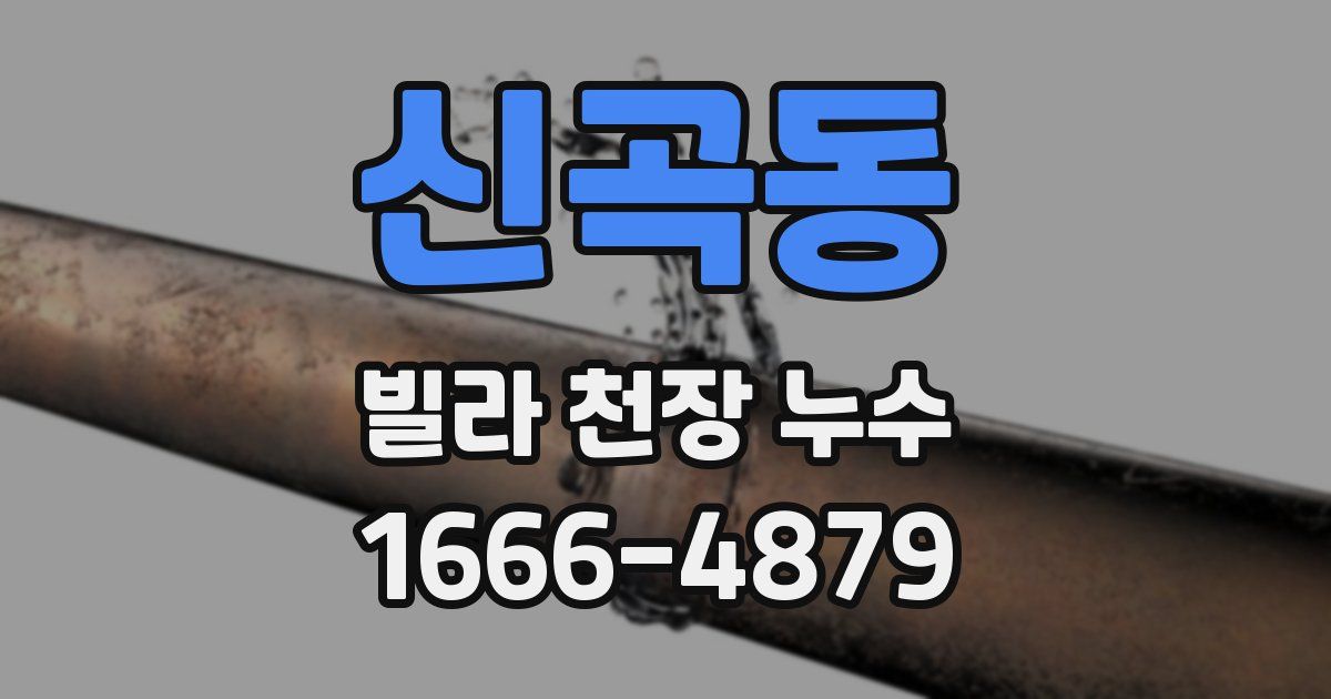 신곡동 빌라 천장 누수