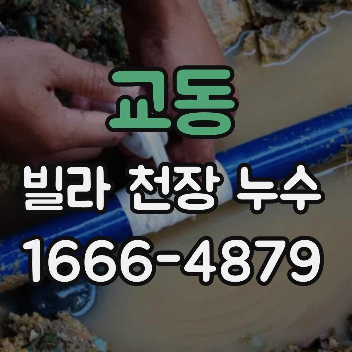 교동 빌라 천장 누수