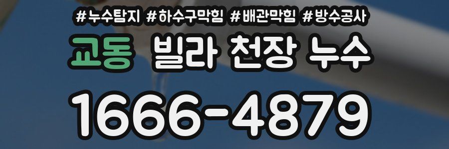 교동 빌라 천장 누수
