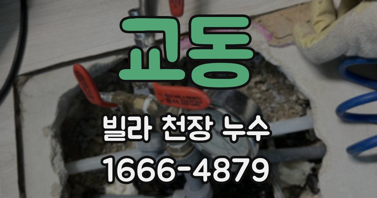 교동 빌라 천장 누수