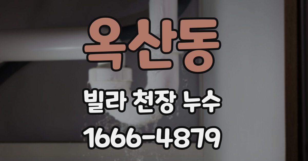 옥산동 빌라 천장 누수