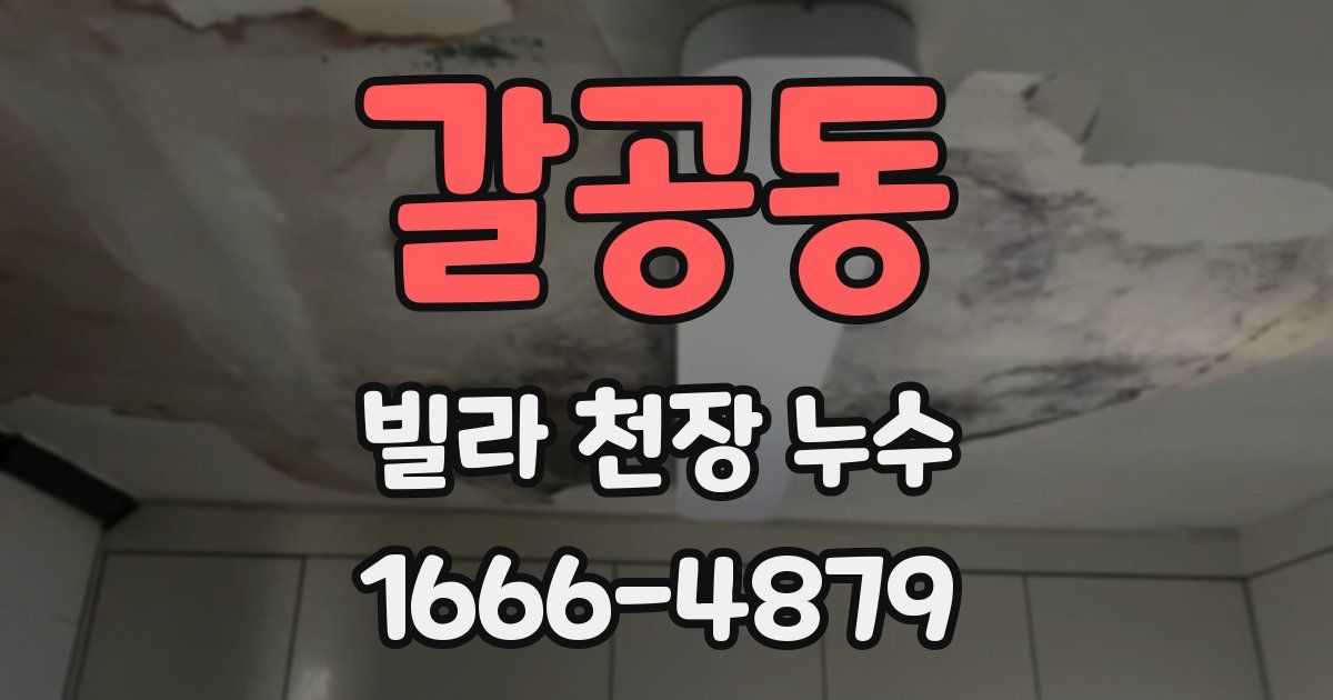 갈공동 빌라 천장 누수