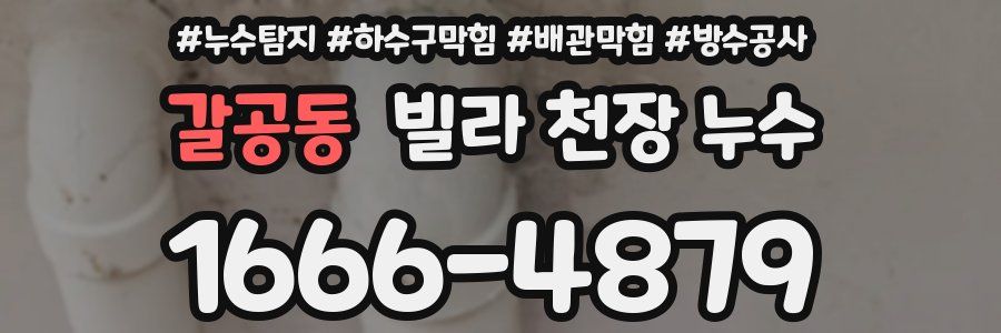 갈공동 빌라 천장 누수