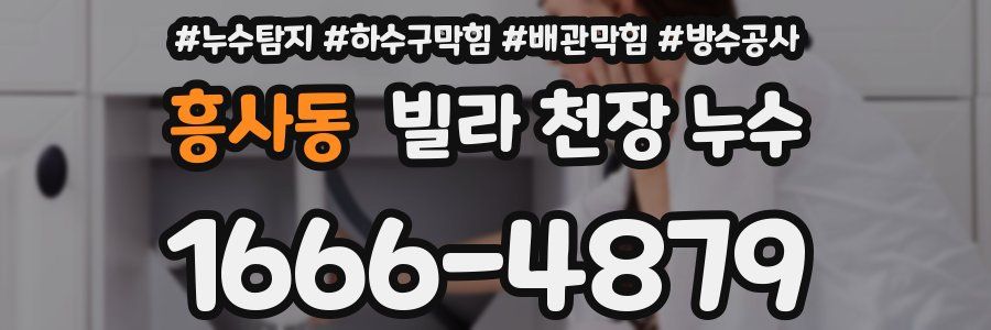 흥사동 빌라 천장 누수