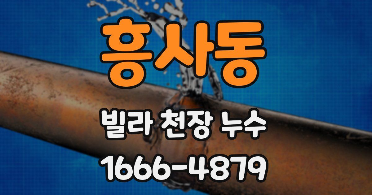 흥사동 빌라 천장 누수