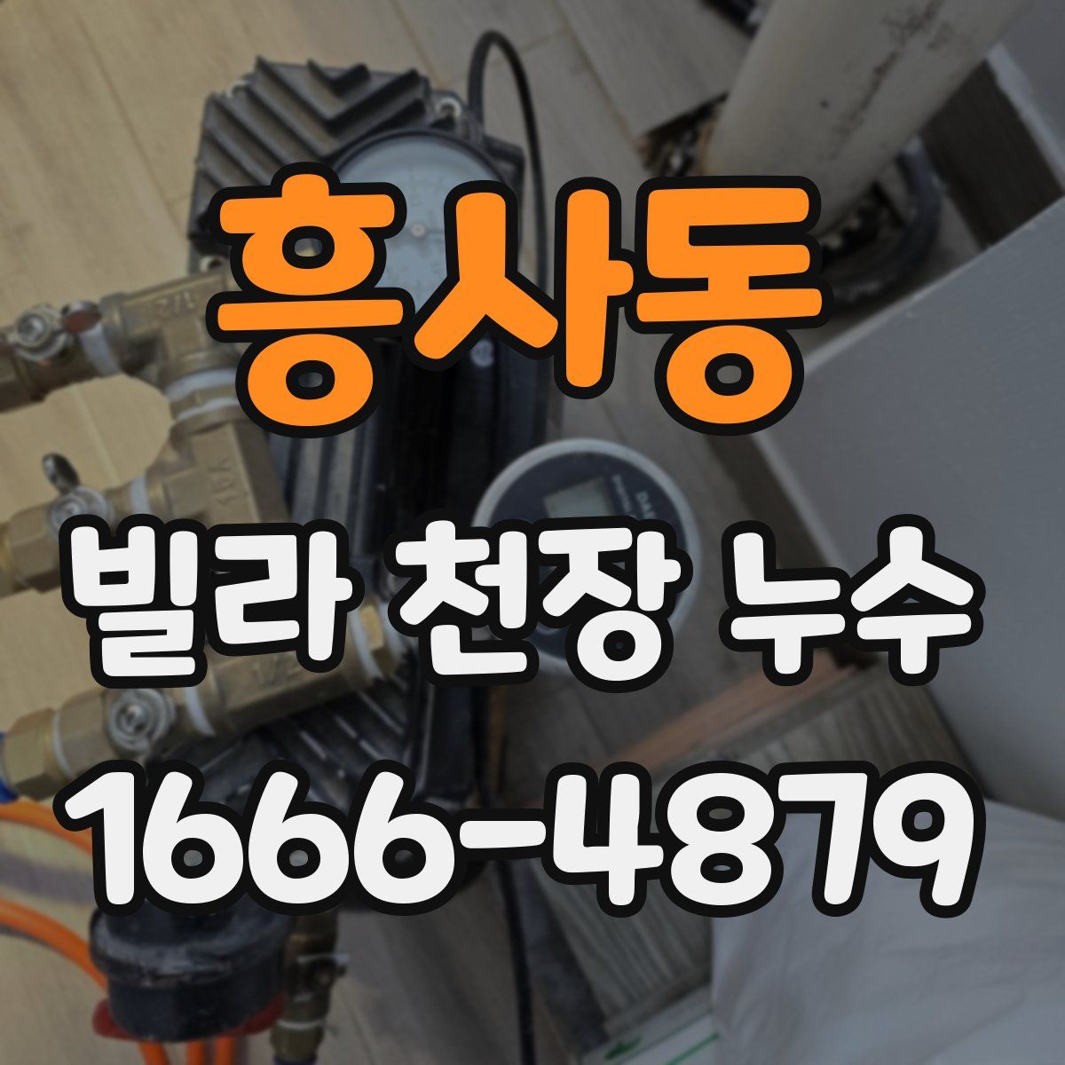 흥사동 빌라 천장 누수