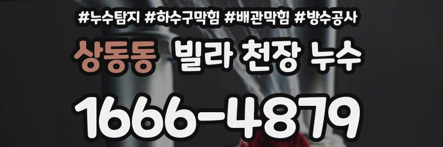 상동동 빌라 천장 누수