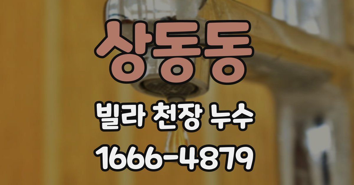 상동동 빌라 천장 누수