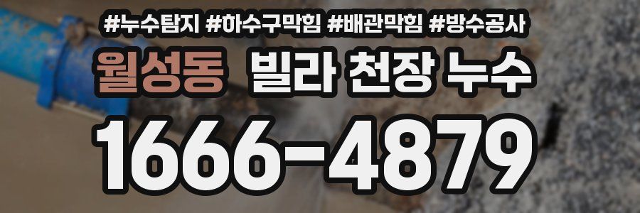 월성동 빌라 천장 누수