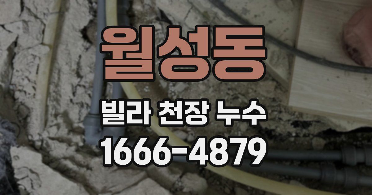 월성동 빌라 천장 누수