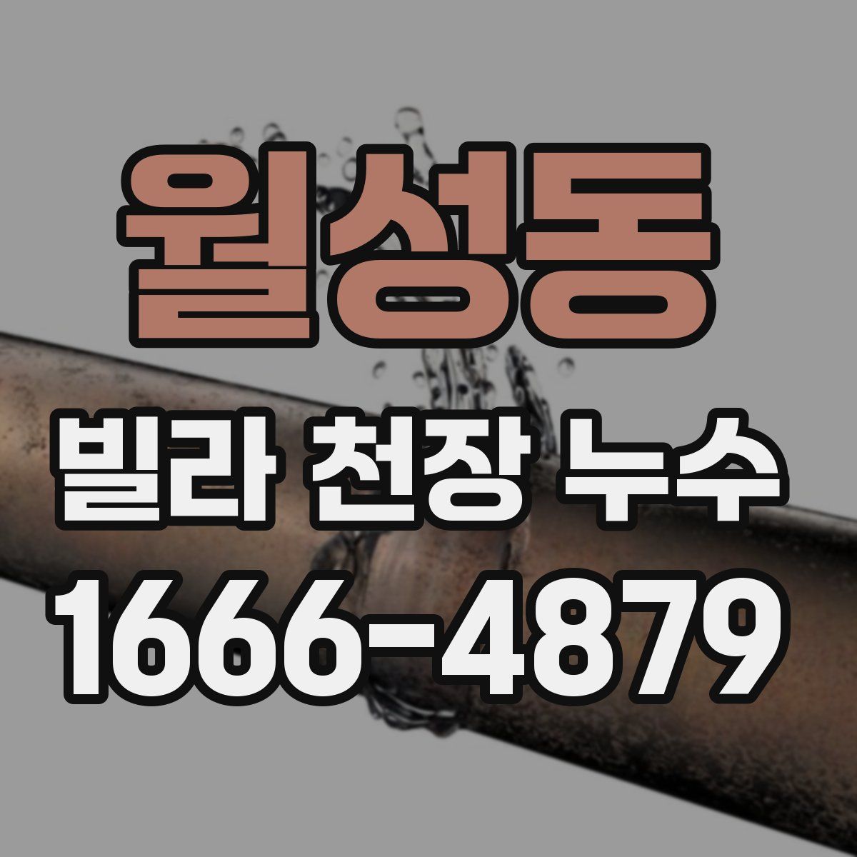 월성동 빌라 천장 누수