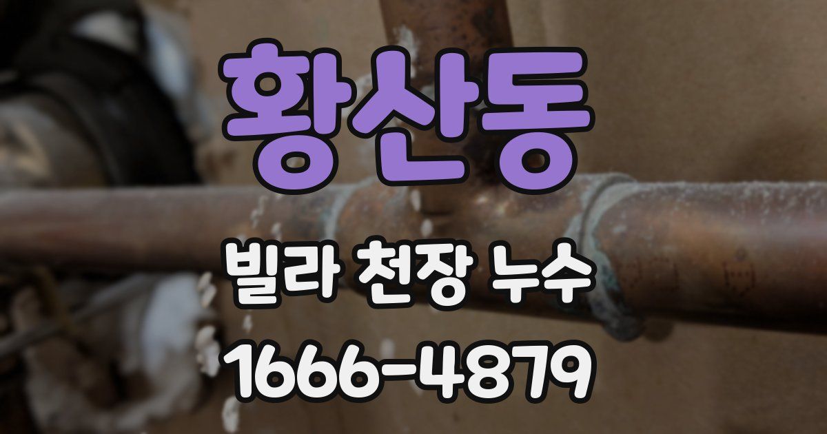 황산동 빌라 천장 누수