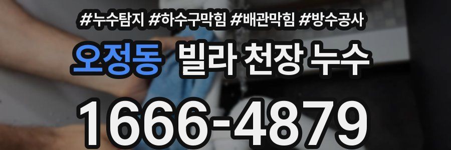 오정동 빌라 천장 누수