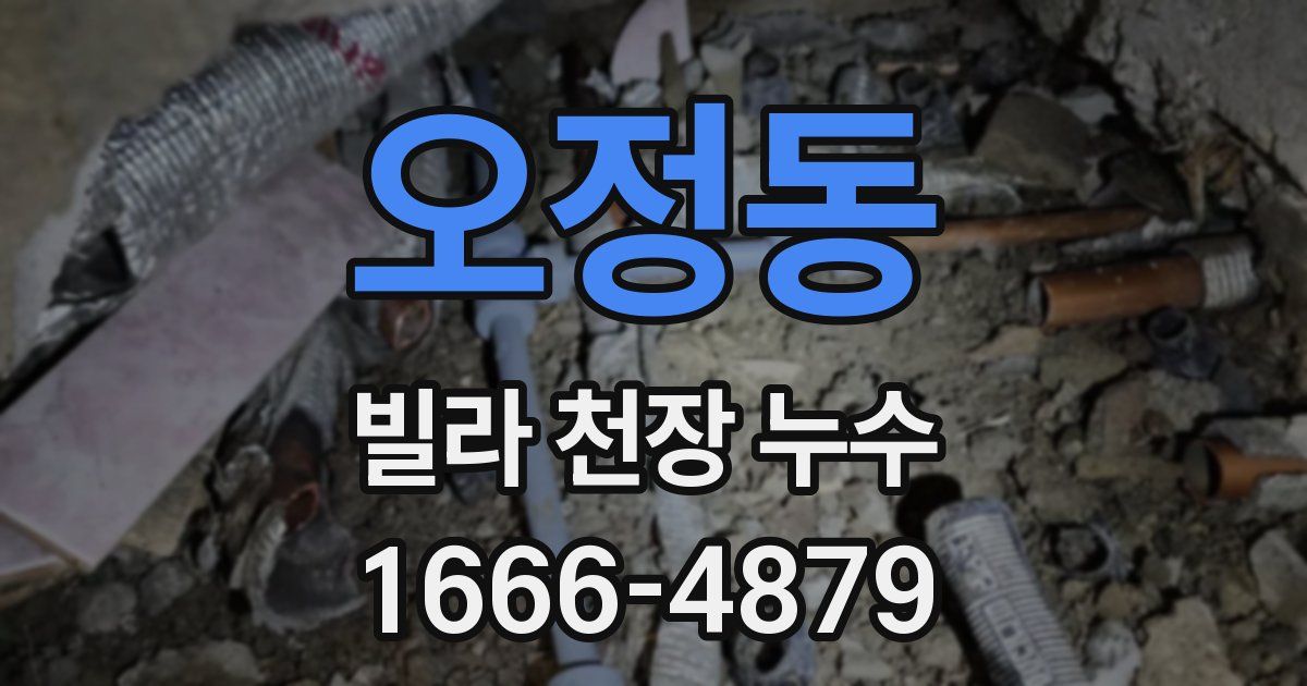 오정동 빌라 천장 누수