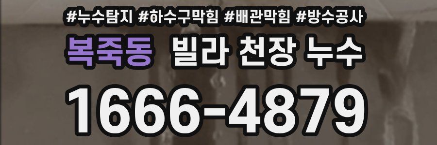 복죽동 빌라 천장 누수