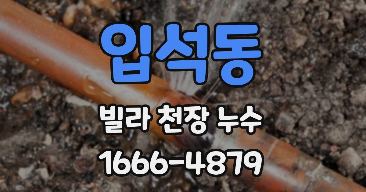 입석동 빌라 천장 누수