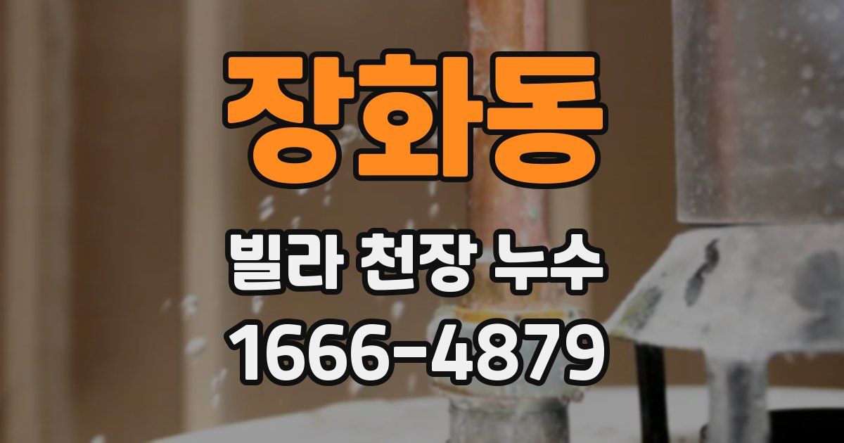 장화동 빌라 천장 누수