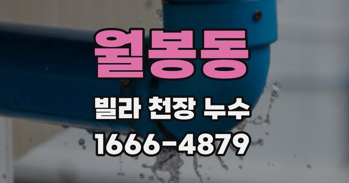 월봉동 빌라 천장 누수