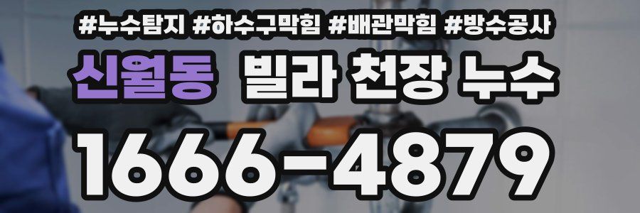 신월동 빌라 천장 누수