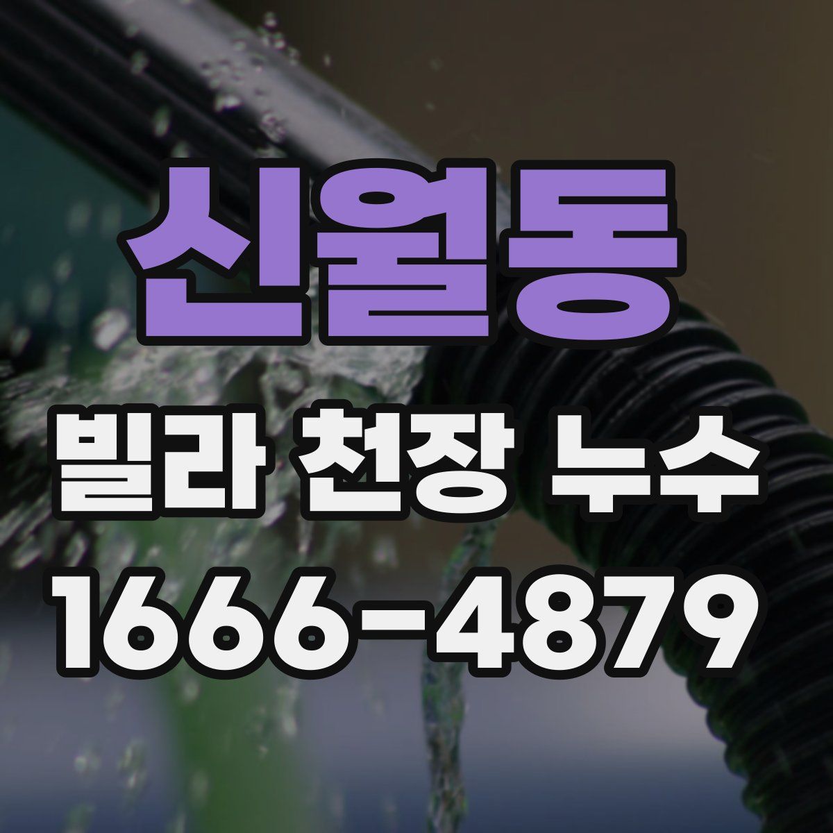 신월동 빌라 천장 누수