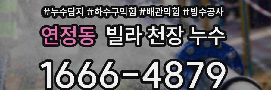 연정동 빌라 천장 누수