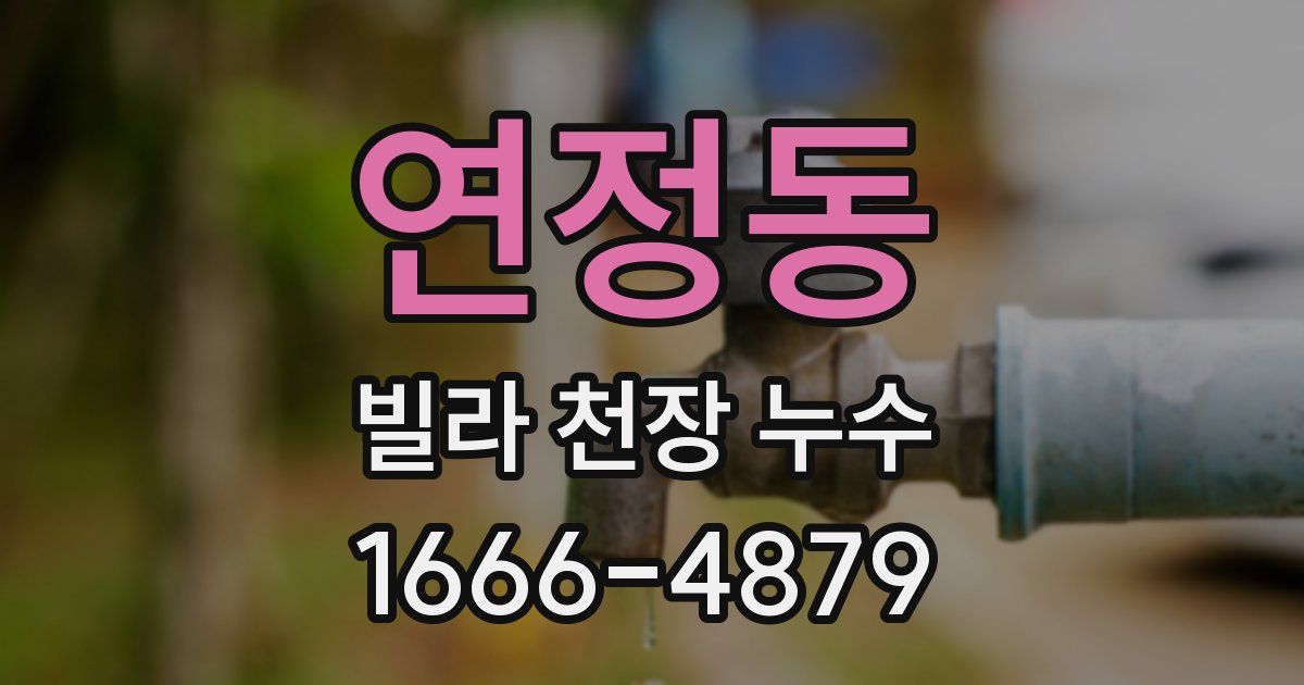 연정동 빌라 천장 누수