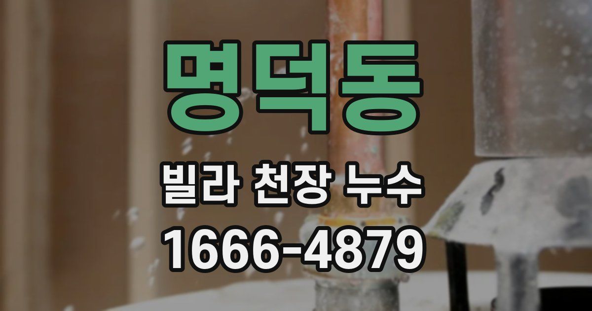명덕동 빌라 천장 누수