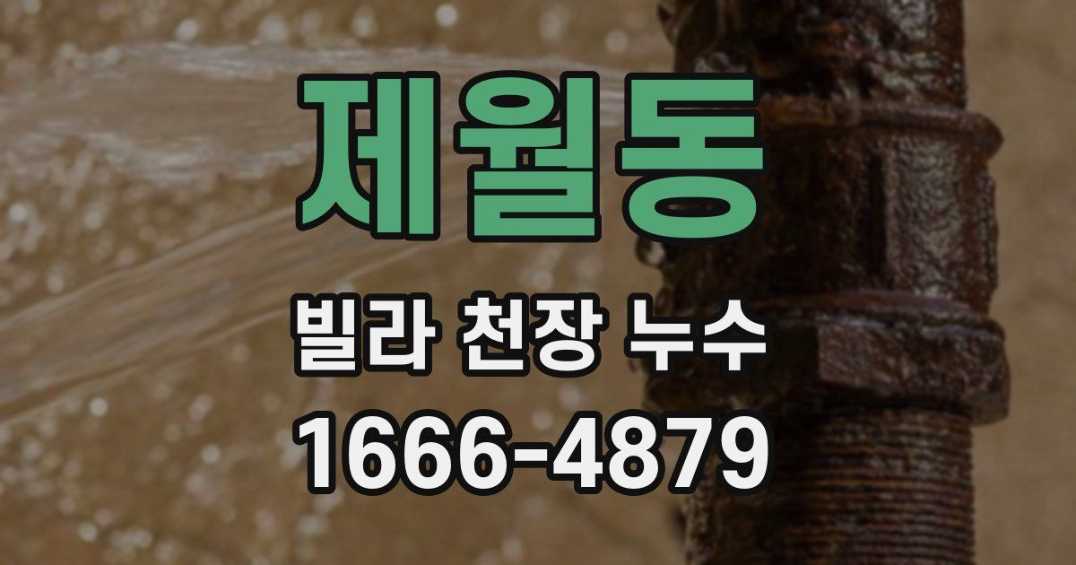 제월동 빌라 천장 누수