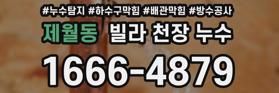 제월동 빌라 천장 누수