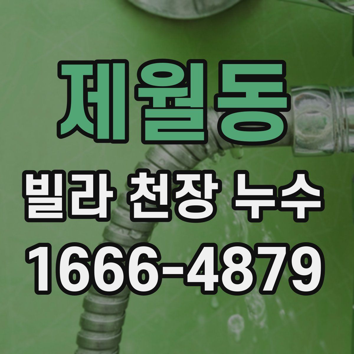 제월동 빌라 천장 누수