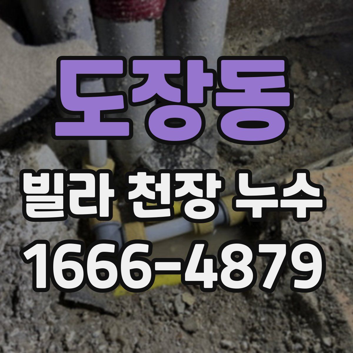 도장동 빌라 천장 누수