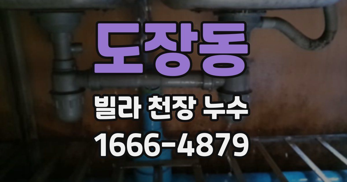 도장동 빌라 천장 누수