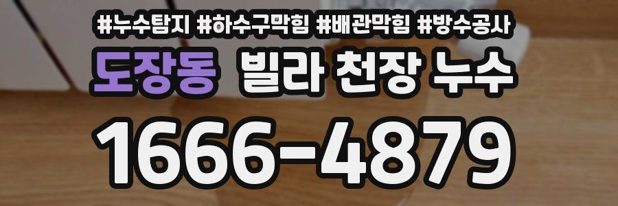도장동 빌라 천장 누수