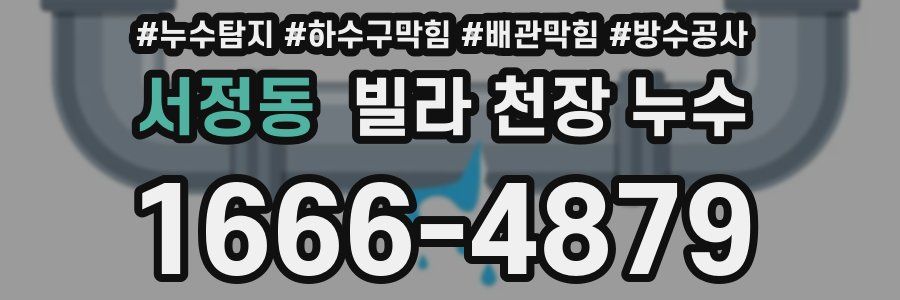 서정동 빌라 천장 누수