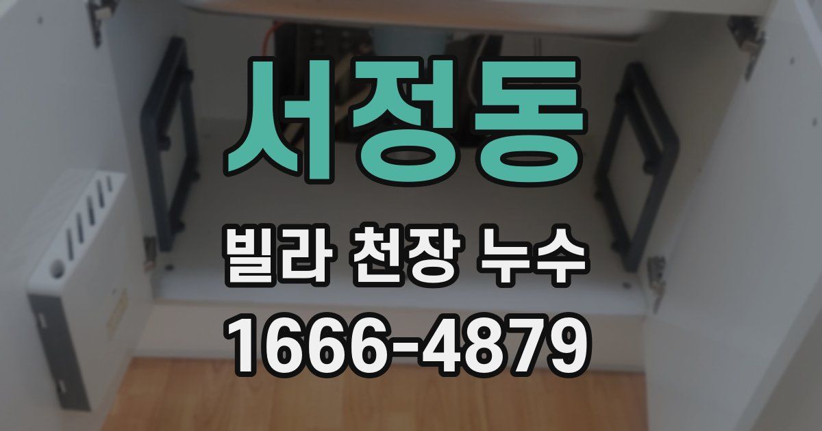 서정동 빌라 천장 누수