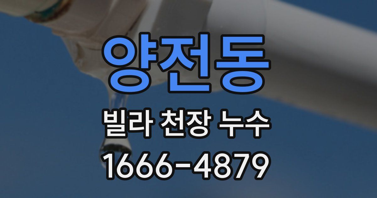 양전동 빌라 천장 누수