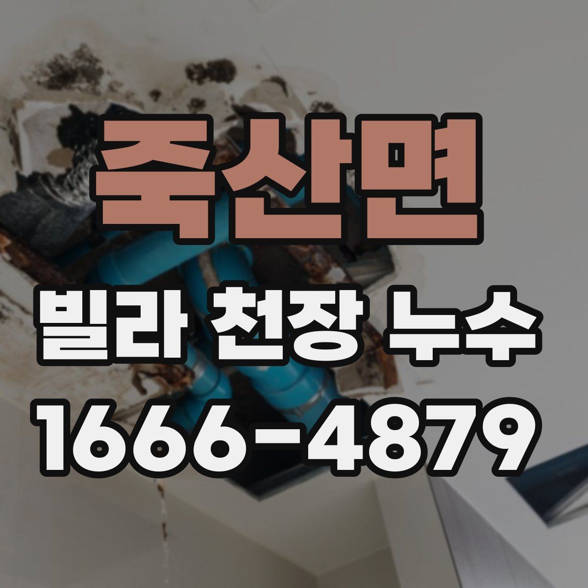 죽산면 빌라 천장 누수