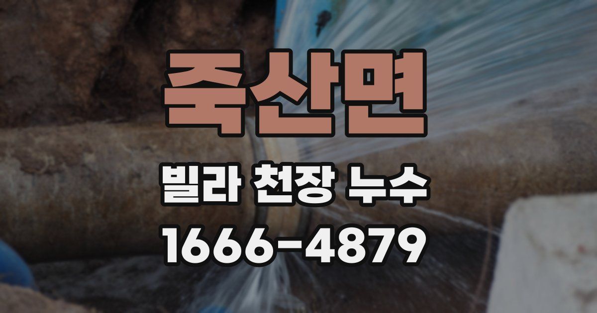 죽산면 빌라 천장 누수