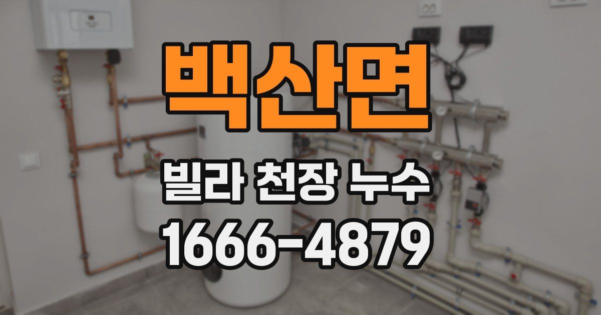 백산면 빌라 천장 누수
