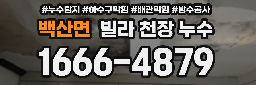 백산면 빌라 천장 누수