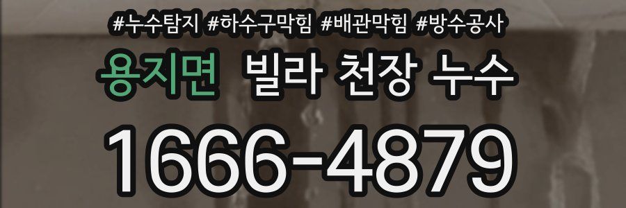 용지면 빌라 천장 누수