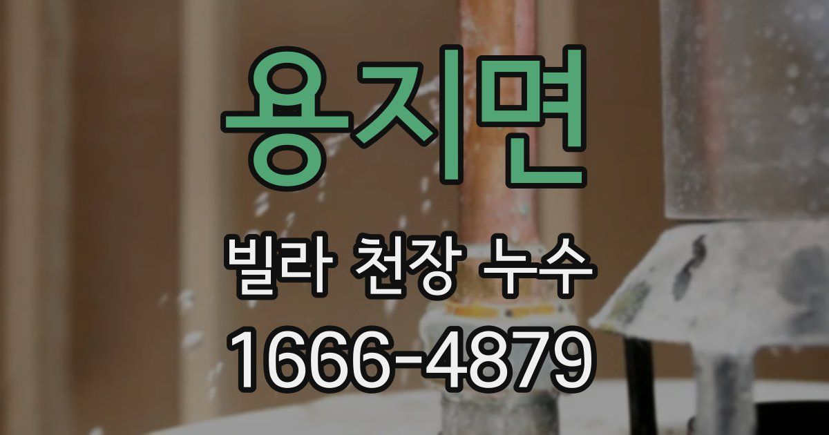 용지면 빌라 천장 누수