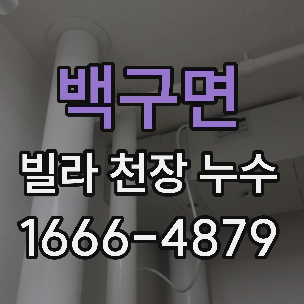 백구면 빌라 천장 누수