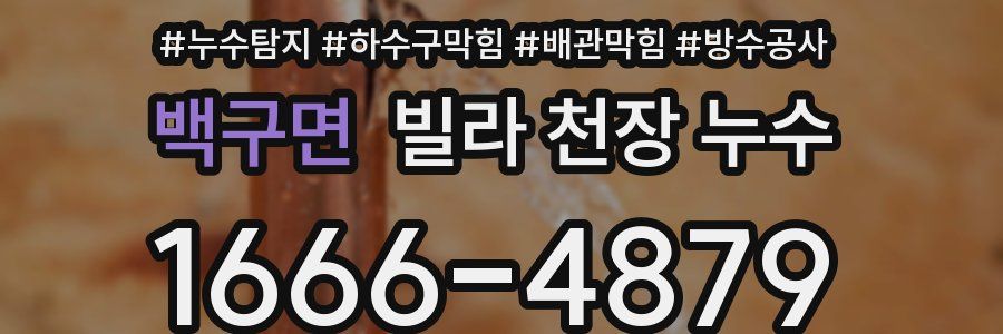 백구면 빌라 천장 누수